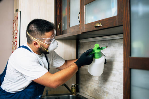Best Best Pest Control Near Me  in Goldsby, OK