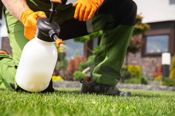 Best Wildlife Control Services  in Goldsby, OK