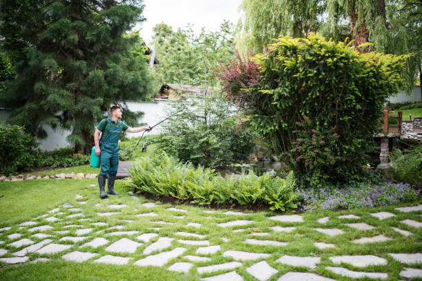 Best Local Pest Control Services  in Goldsby, OK