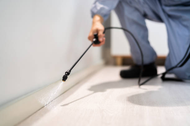 Pest Control Cost in Goldsby, OK