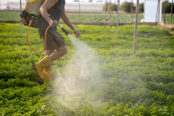 Best Pest Control Cost  in Goldsby, OK