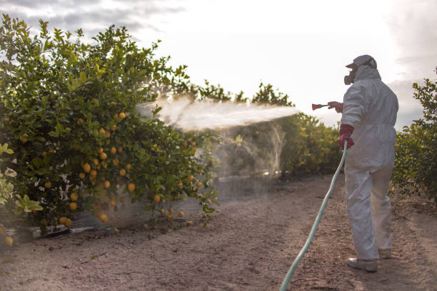 Trusted Goldsby, OK Pest Control Experts