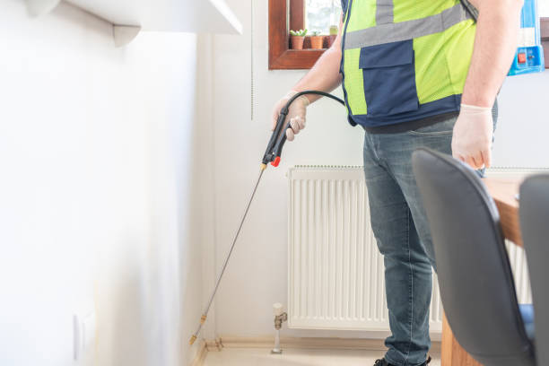 Best Wasp Removal Services  in Goldsby, OK