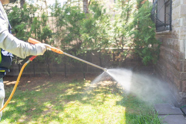 Best Ant Control Services  in Goldsby, OK