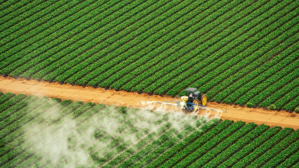 Best Local Pest Control Services  in Goldsby, OK