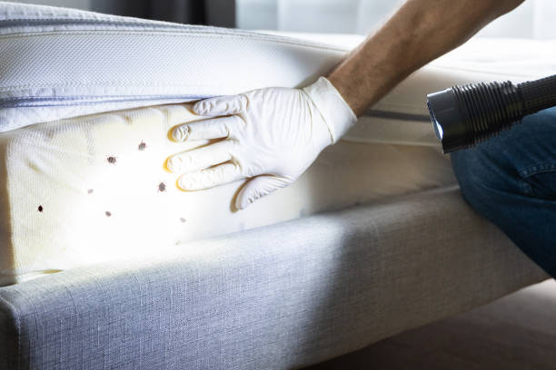 Best Affordable Pest Control Services  in Goldsby, OK