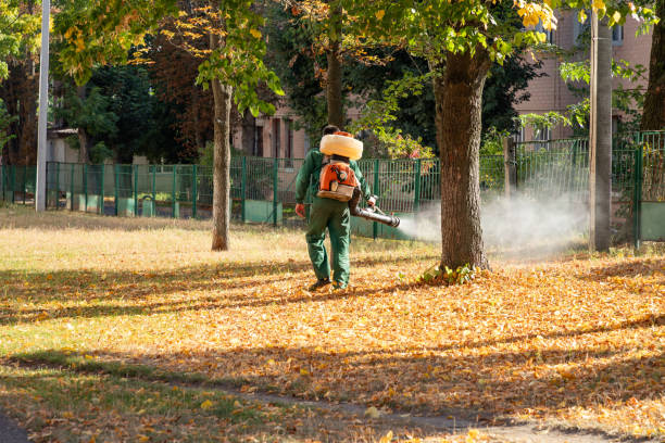 Best Pest Control Treatment  in Goldsby, OK