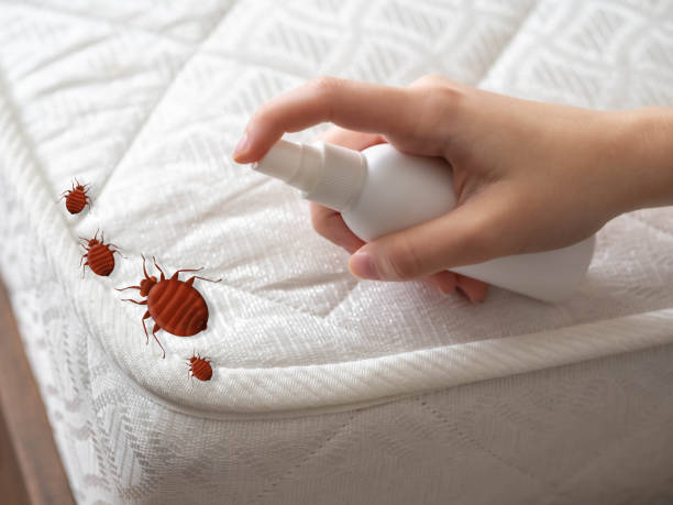 Best Pest Control Near Me in Goldsby, OK