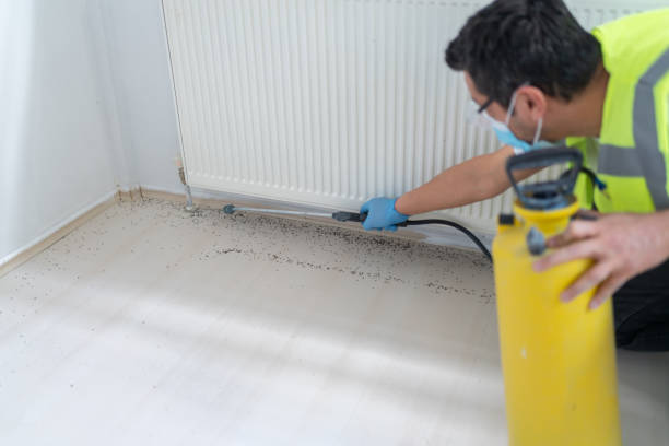 Best Local Pest Control Services  in Goldsby, OK