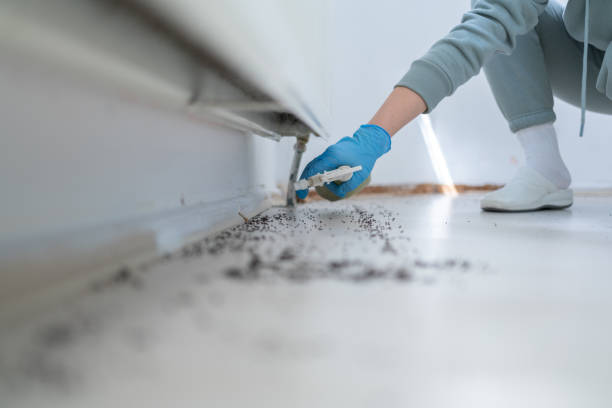 Best Cockroach Control Services  in Goldsby, OK