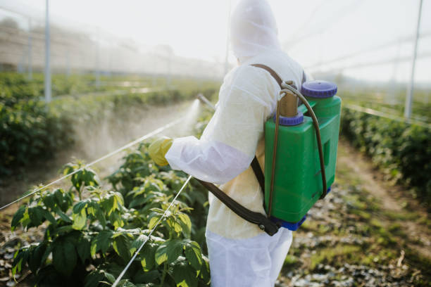 Best Pest Removal Services  in Goldsby, OK